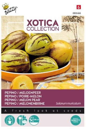 Pepino melón Solanum muricatum cca 15 semien